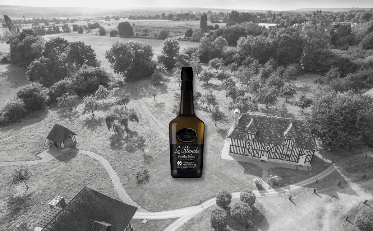 Blanche Christian Drouin - CAVEMAN.CITY