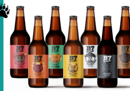 Gamme B7 and 1 More - CAVEMAN ARTICLE