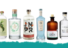 Sans Alccol Spiritueux Featured Image Caveman