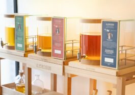 Spirithèque Interview - CAVEMAN.CITY