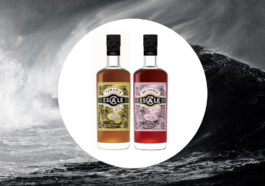 Escale Featured Image CAVEMAN