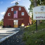 WHITLE PIG 6