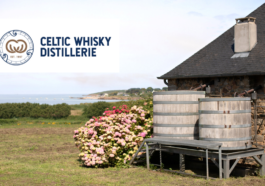 Celtic Whisky Distillerie Featured Image Visite Virtuelle CAVEMAN