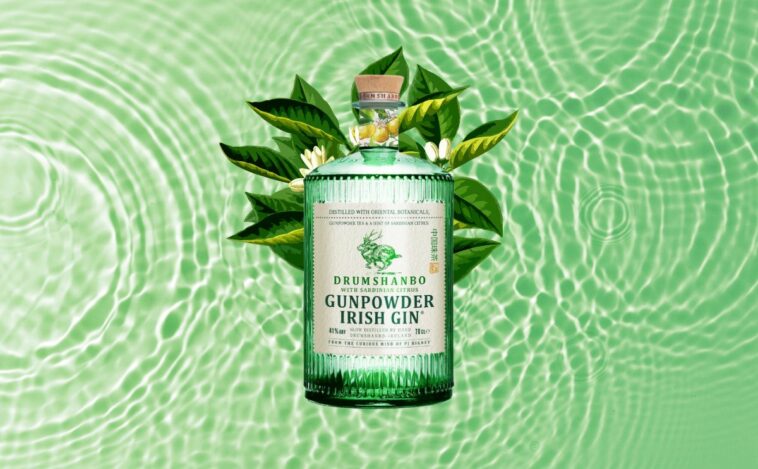 Gunpowder Irish Gin Drumshanbo Featured Image CAVEMAN