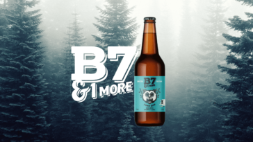 Panda Beer B7&1More Featured Image