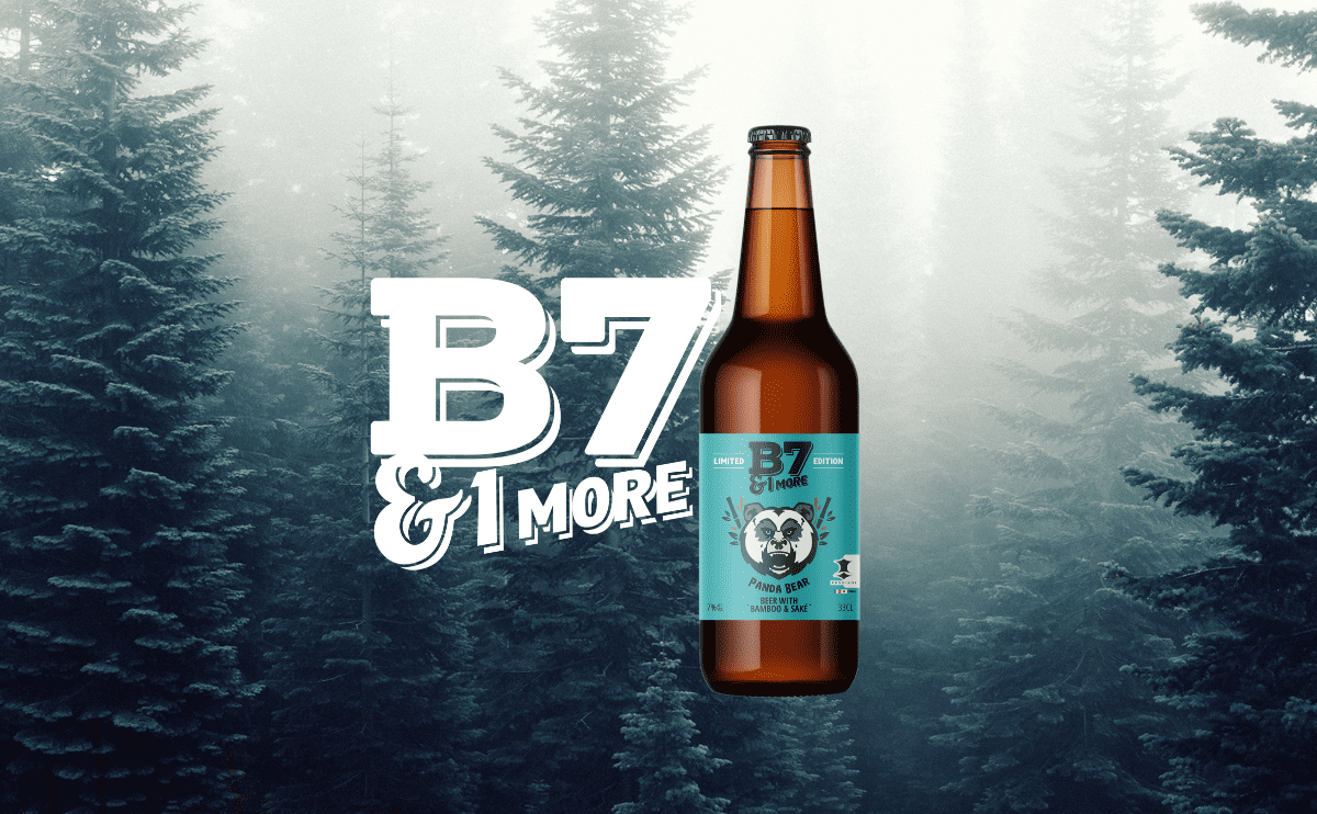 Panda Beer B7&1More Featured Image