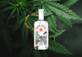 Maison Dutier Newlands Chanvre Featured Image