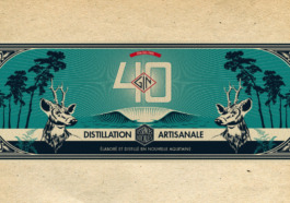 GIN 40 Banner - CAVEMAN