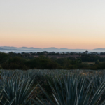 Volcan de mi tierra Blanco - Banner Caveman