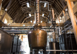 Whistlepig 10 ans Banner CAVEMAN