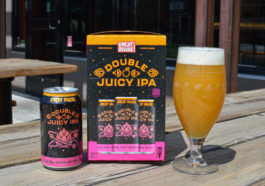 Double IPA Divide - Banner Caveman