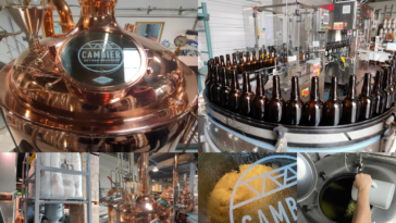 IPA Bière - Techniques Cambier - Caveman Banner