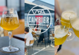 IPA Cambier - CAVEMAN
