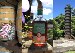 Visite Virtuelle - CAVEMAN 2