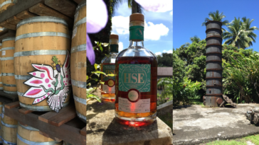 Visite Virtuelle - CAVEMAN 2