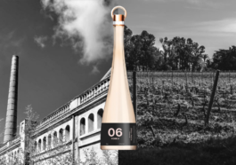 06 Vodka - Banner CAVEMAN