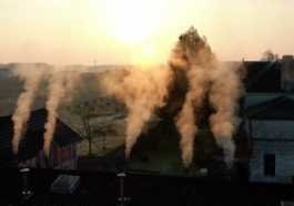 Fontagard Whisky Bannière Caveman