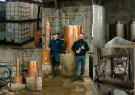 Distillerie du Golfe - GIN - BANNER CAVEMAN