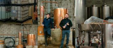 Distillerie du Golfe - GIN - BANNER CAVEMAN