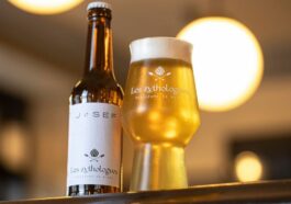 Les Zythologue BANNER CAVEMAN