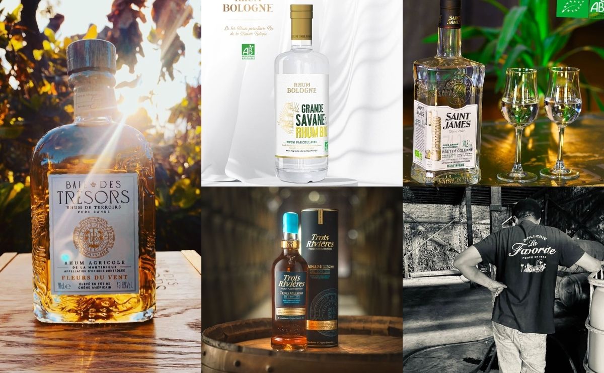 Shopping Rhum Agricole - BANNER CAVEMAN