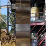 Technique fabrication rhum agricole Saint James 5 étapes - CAVEMAN