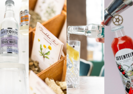 Tonics - BANNER CAVEMAN