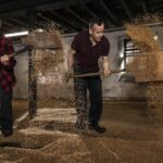 highland park 15 ans d'age