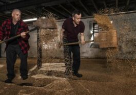 highland park 15 ans d'age