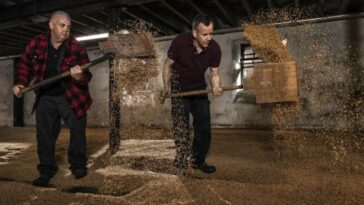 highland park 15 ans d'age