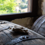 BANNER CAVEMAN twelve