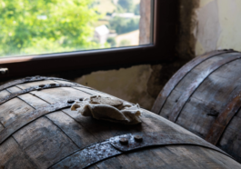 BANNER CAVEMAN twelve