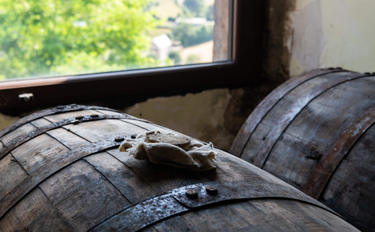 BANNER CAVEMAN twelve