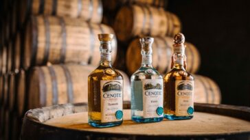 Banner - Bouteille séléction Tequila