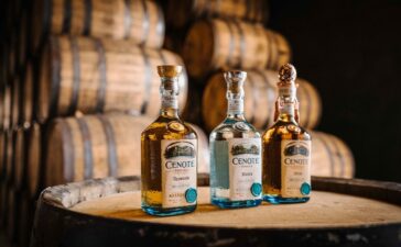 Banner - Bouteille séléction Tequila