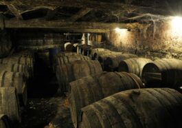 Cognac Vallein Tercinier - BANNER CAVEMAN