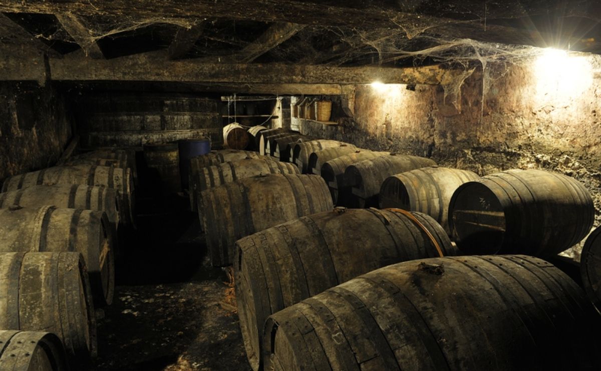 Cognac Vallein Tercinier - BANNER CAVEMAN