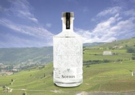 BANNER CAVEMAN - Sothis Gin