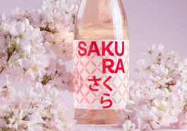 BANNER Wakaze Sakura