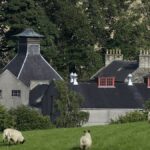 GLENDRONACH_summer01