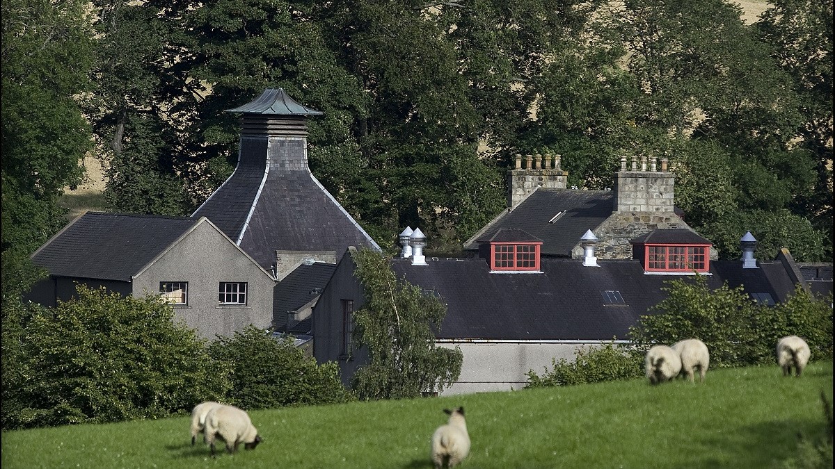 GLENDRONACH_summer01