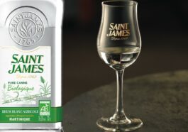 Visuel bannière SJ BIO 56,5°