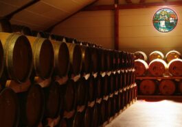 Eddu whiksy france - Distillerie des Menhirs - Caveman